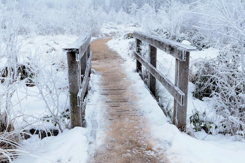 Sparkling Pathways